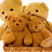 Teddy Bear Picnic Food Treat Children