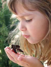 Nature Babies Toddlers Summer Outdoors