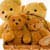 Host a Teddy Bears' Picnic