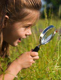 Bug Hunt Insect Children Magnifying